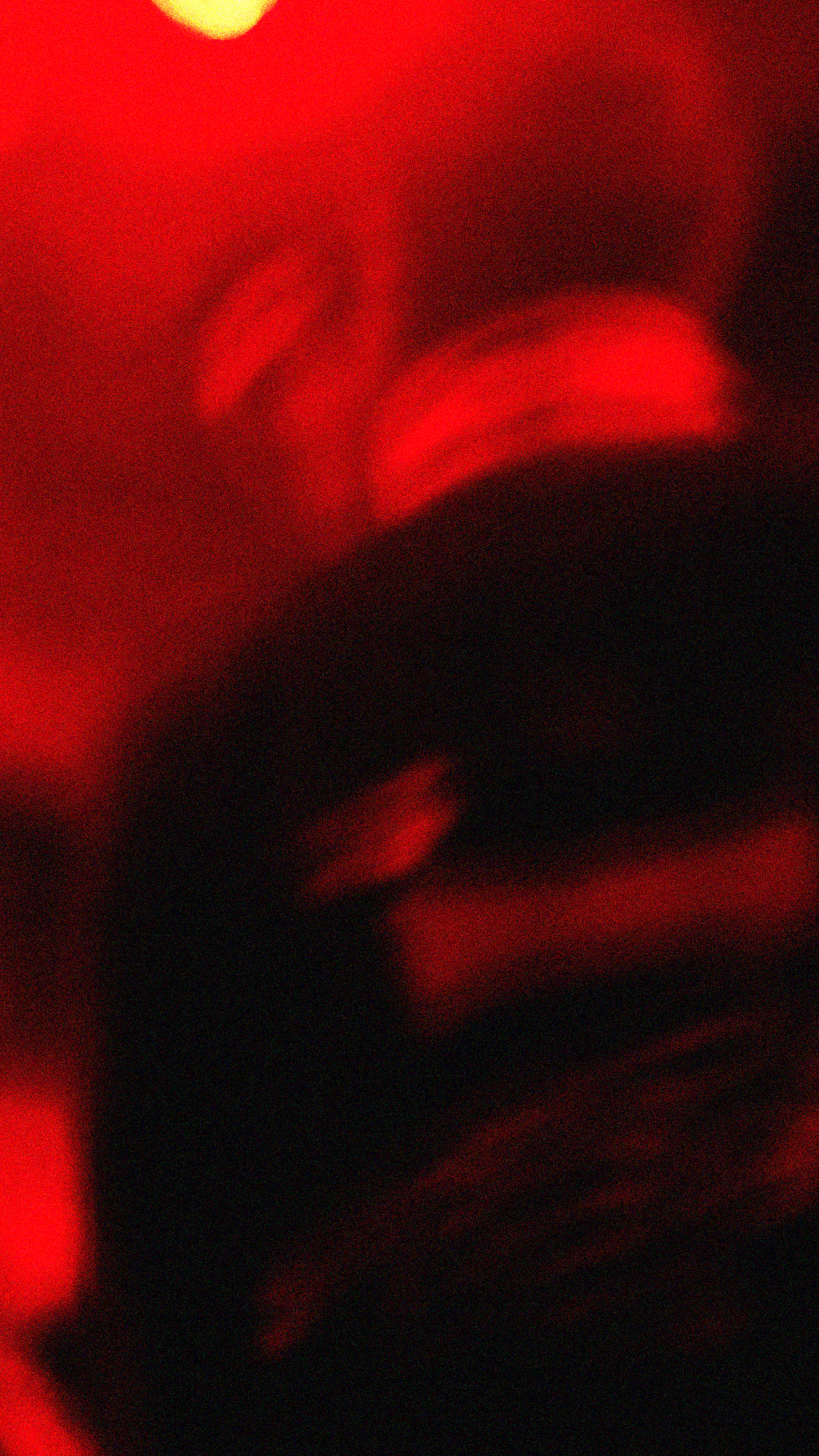 Birongo Live - Momento 12